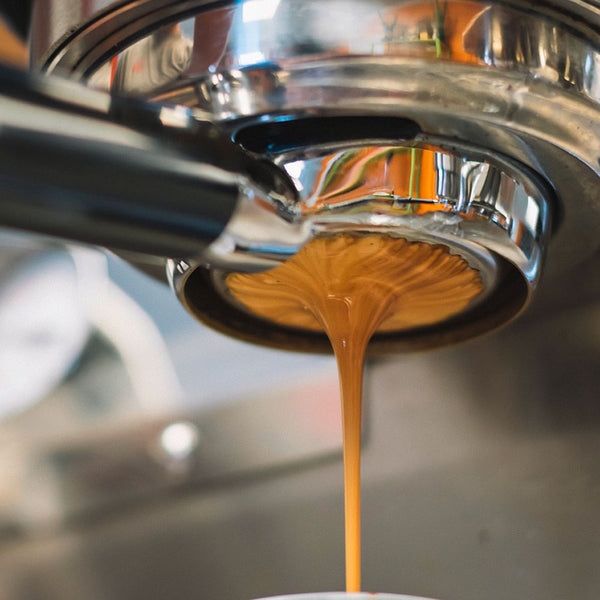 Kaffees für Siebträgermaschinen